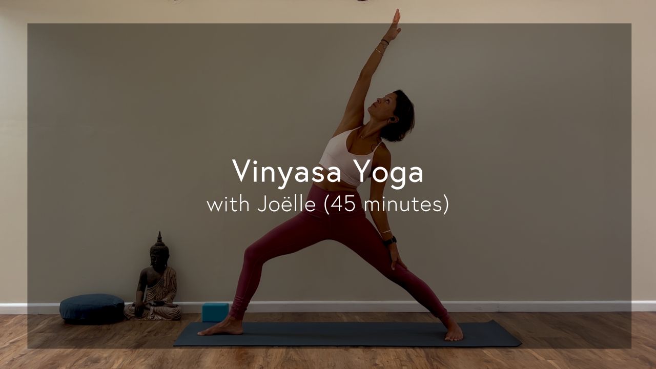 45 Minute Vinyasa Yoga with Joëlle Sleebos
